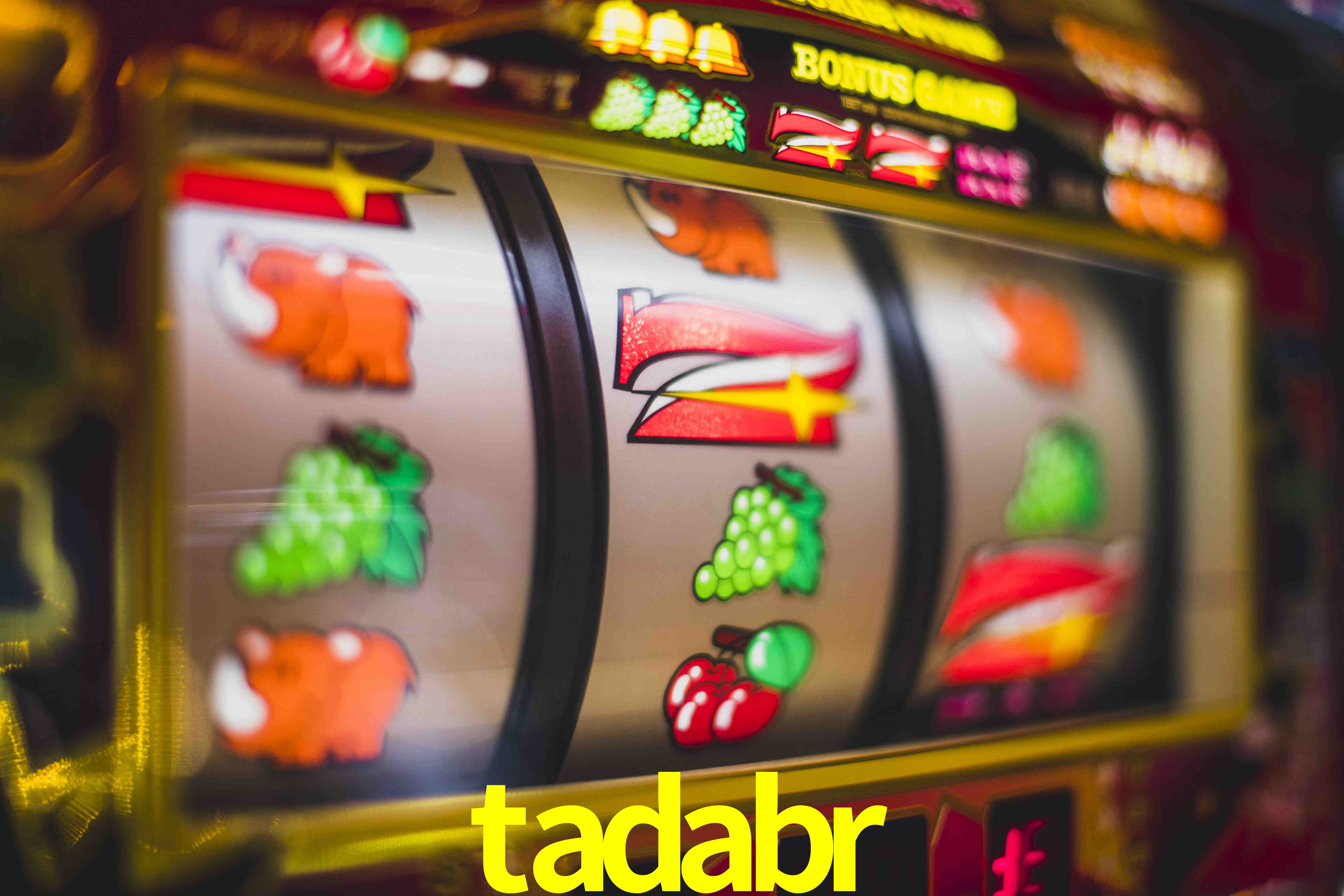 Statistics tadabr